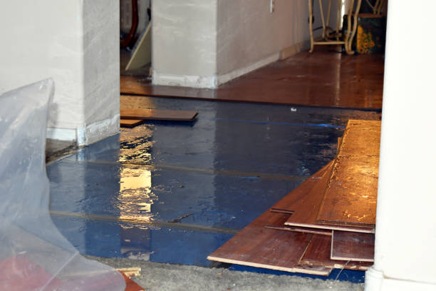 Professional Flood Damage Restoration technician working in Plainfield, IL